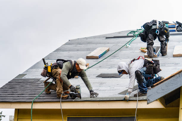Professional Roof Replacement technician working in Plain, WI